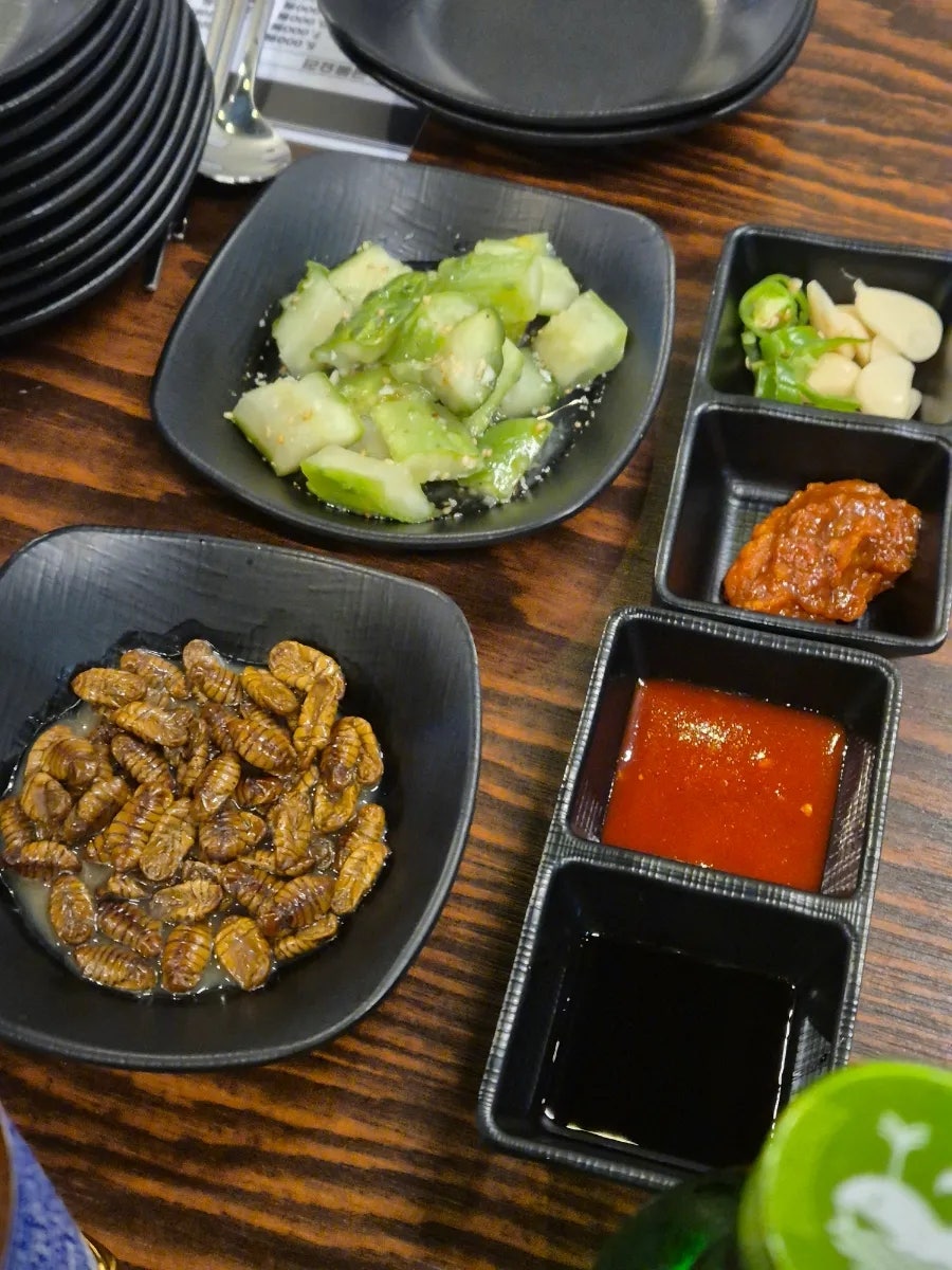 줌마카세 사진 6