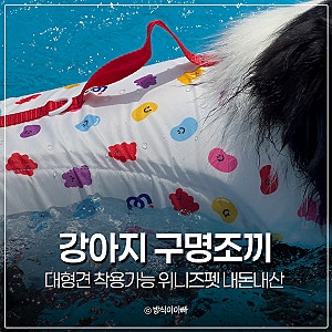 대형견 착용가능 강아지 구명조끼 수영복 위니즈펫 내돈내산
