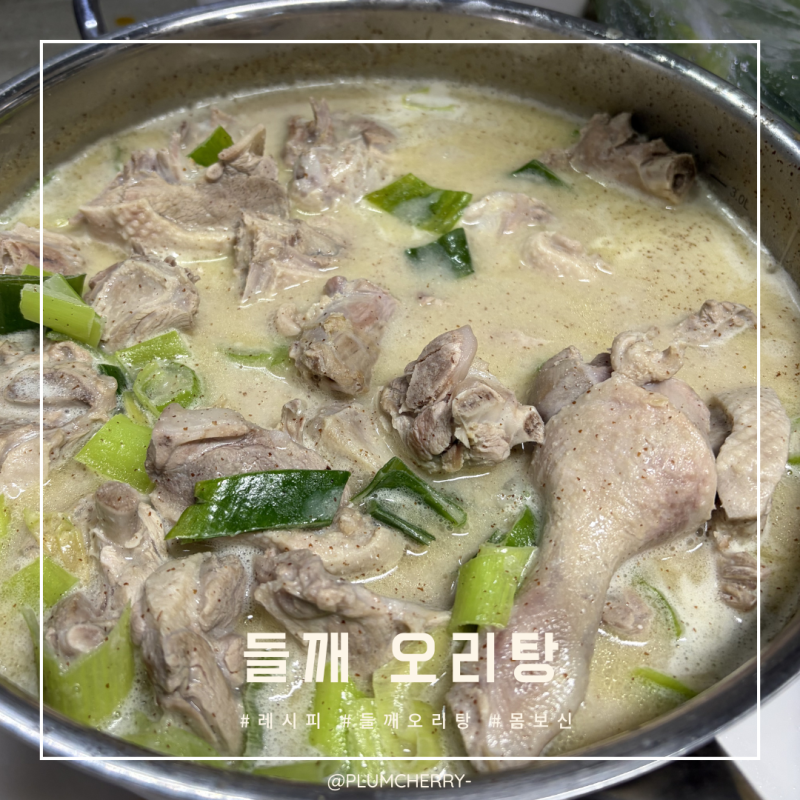 [요리레시피] 초보자도 가능한 들깨 오리탕 끓이는 법, 밀키트처럼 쉬운 레시피