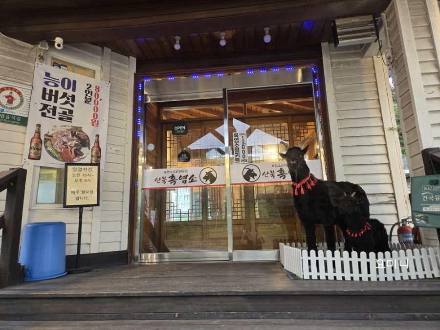 산북흑염소 사진 2