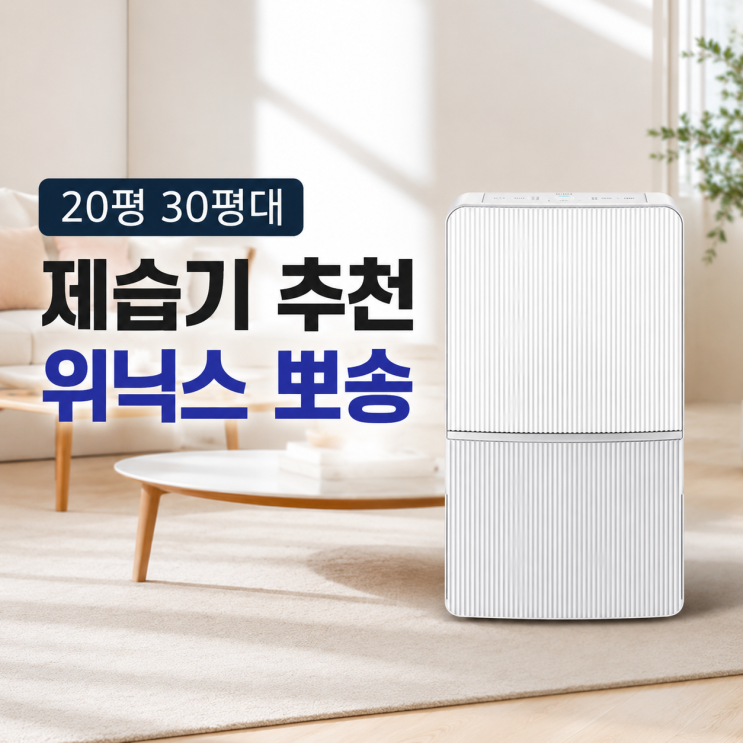  20평 30평대 제습기 추천 위닉스 뽀송 기안84제습기