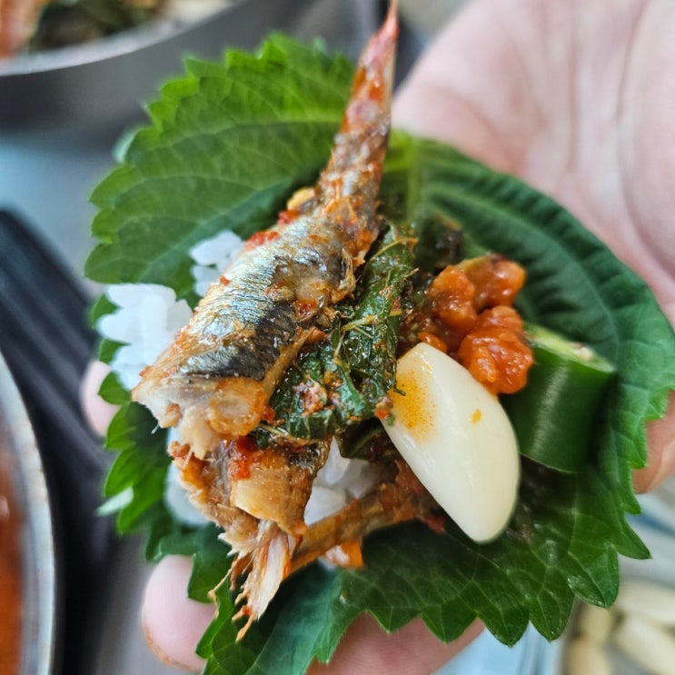  부산기장맛집 대변항맛집 물회 멸치가 맛있는 이화장횟집