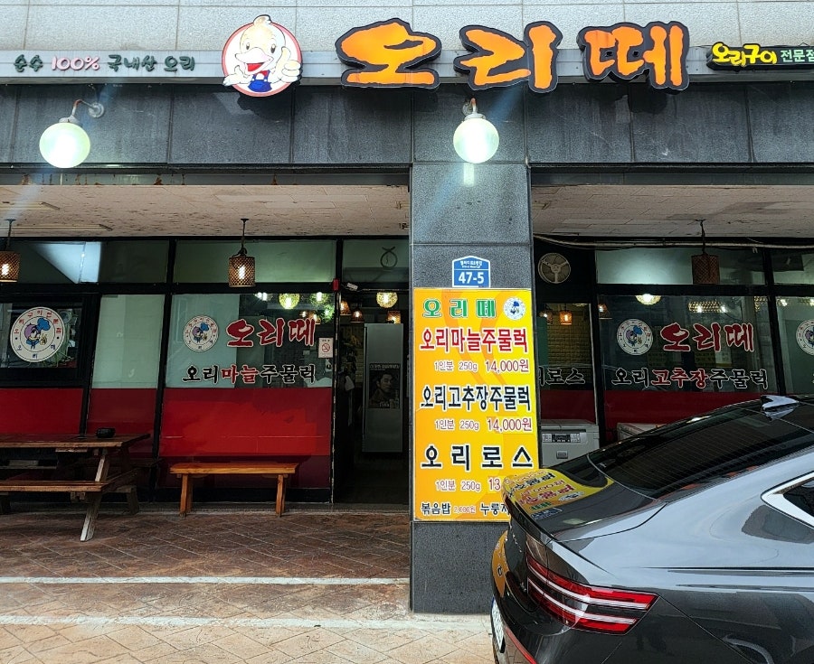 오리떼 사진 1