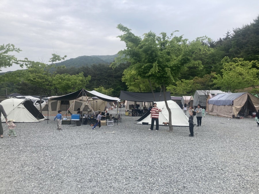 지리산가는길903캠핑장 사진 3
