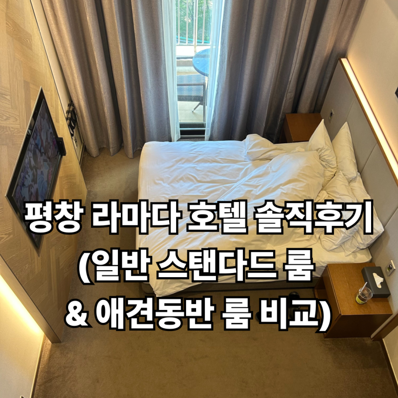 평창 라마다 호텔 솔직 후기, 애견 동반 가족여행 (스탠다드, 펫룸스탠다드 비교)