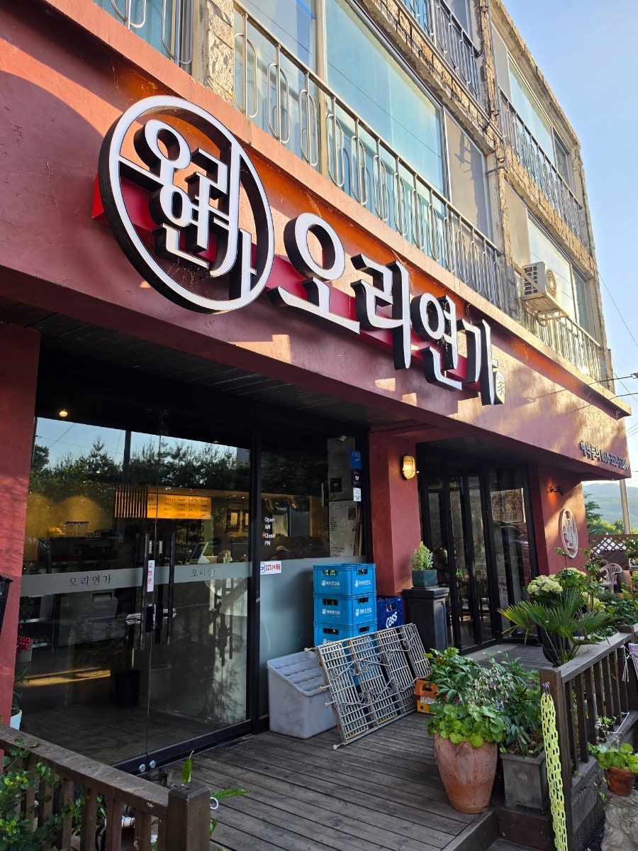 오리연가 사진 1