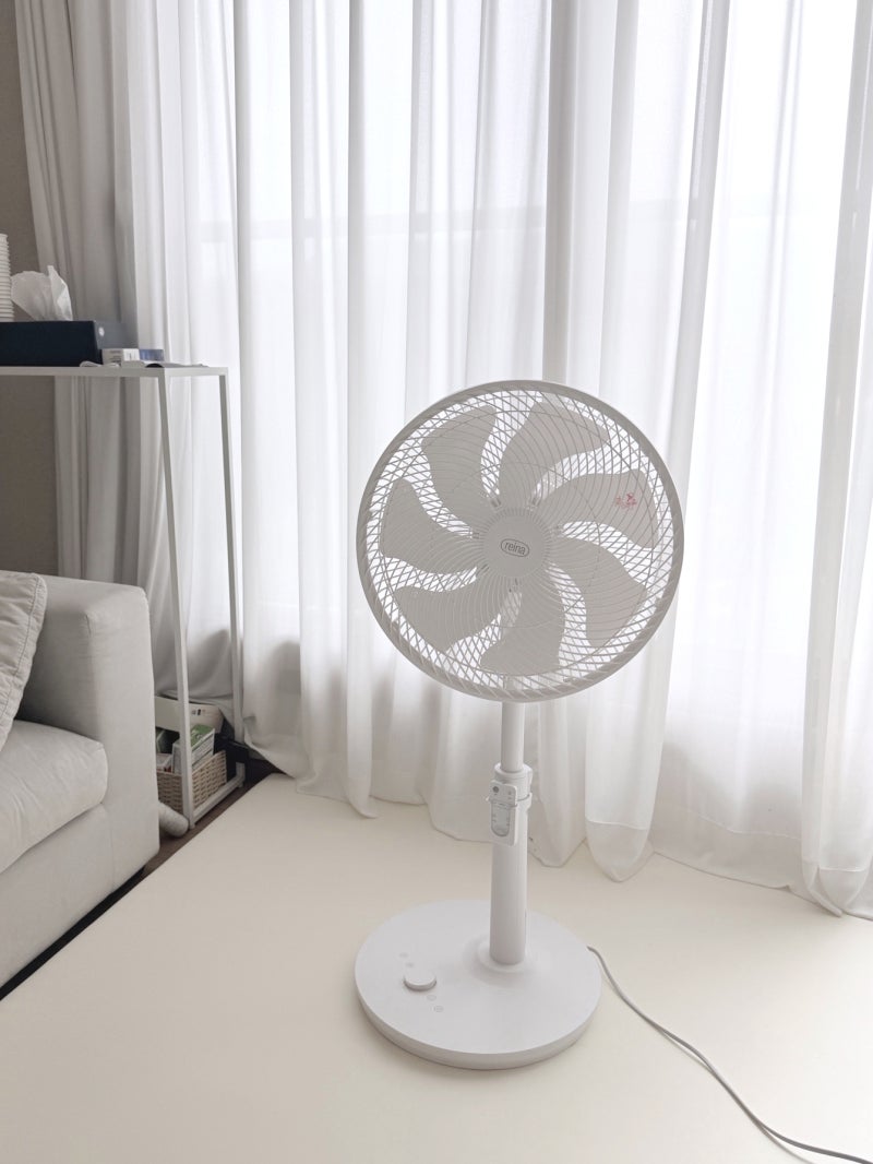 리모컨 선풍기 레이나 BLDC 써큘레이터 후기