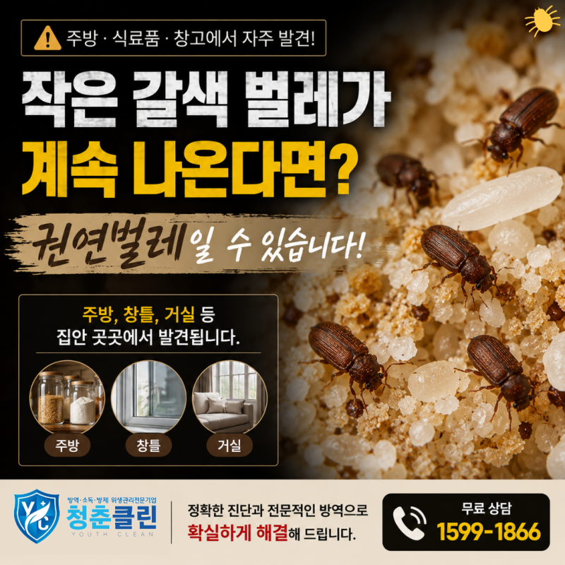 권연벌레 셀프로 방역도 좋지만 전문업체의 솔루션으로 빠르게 해결