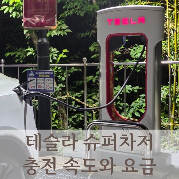 테슬라 슈퍼차저 전기차 충전소 충전요금 및 시간, 사용 방법
