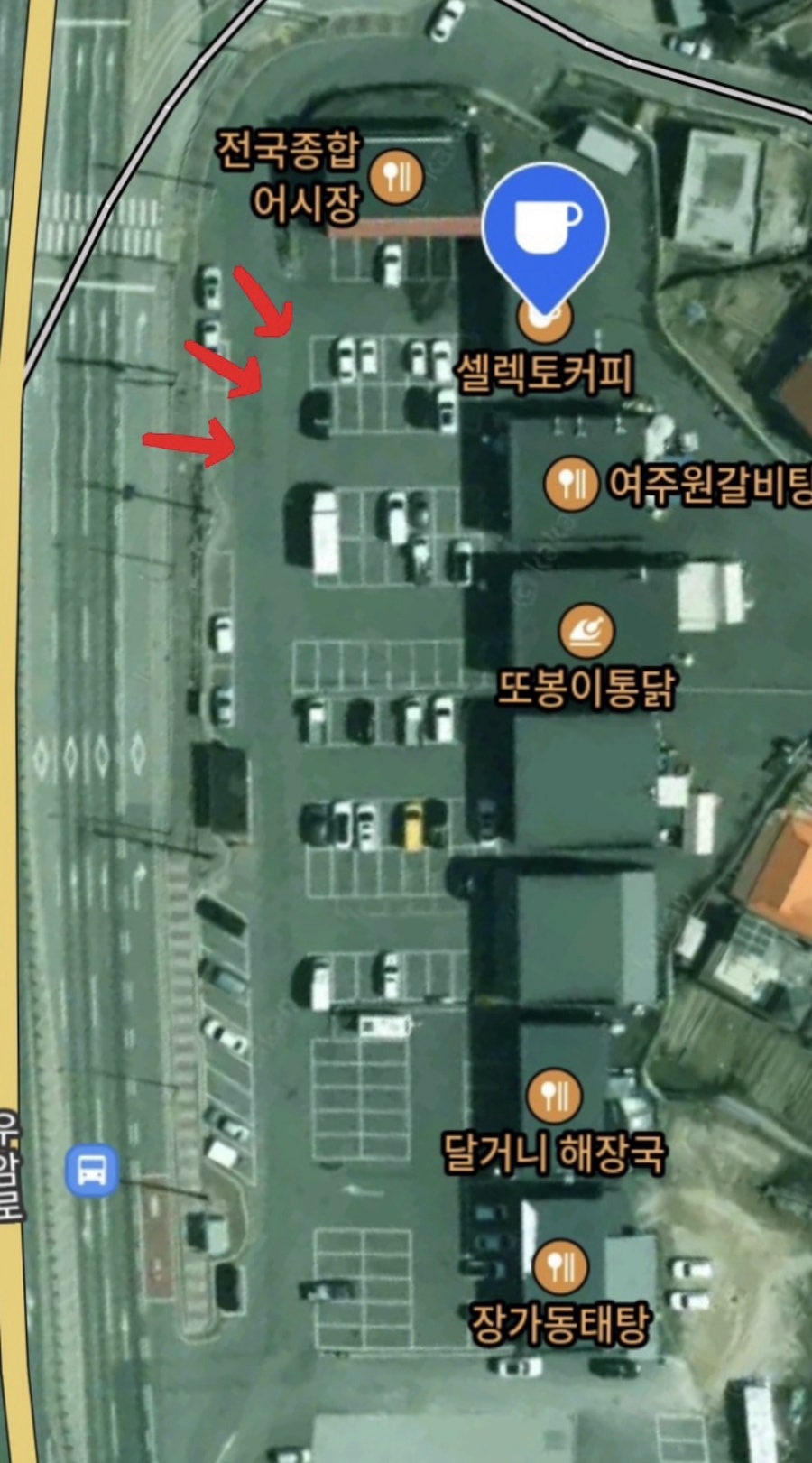 셀렉토커피 여주월송점 사진 2