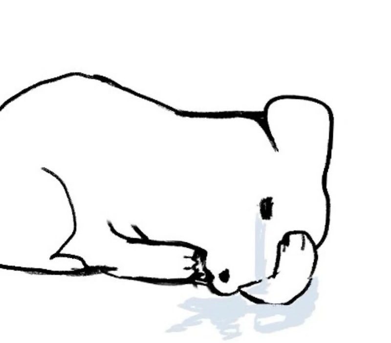 [인하대 병원 / 정형외과 / 골이식술] 수술 입원 일지 1