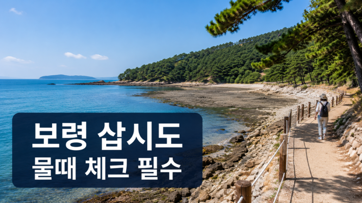  물때 맞아야 보이는 섬, 보령 삽시도 여행 코스