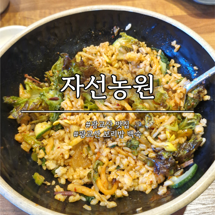 광교산 등산 1코스 보리밥 맛집 자선농원 내돈내산 후기