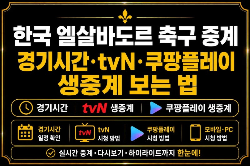 한국 엘살바도르 축구 중계｜경기시간·tvN·쿠팡플레이 생중계 보는 법