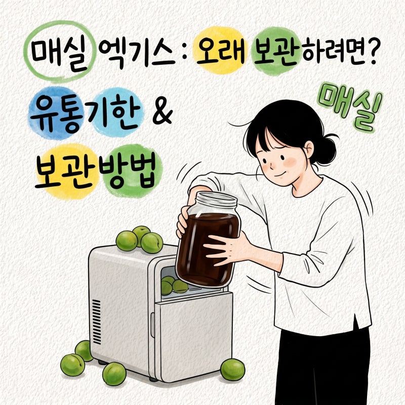 매실 엑기스 유통기한 보관방법 효능 오래보관