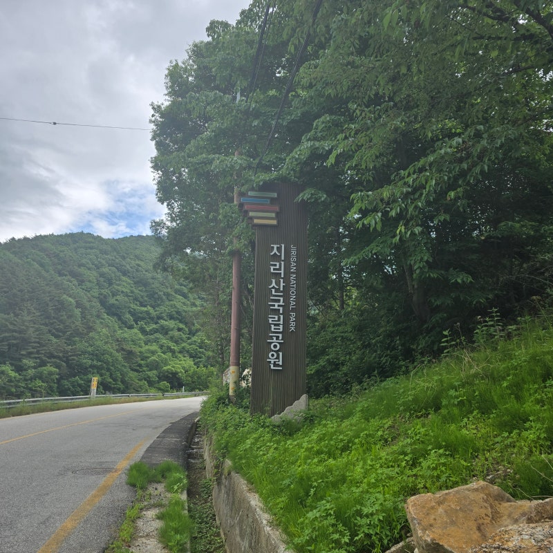 지리산 뱀사골 달궁 고사리 직접 채취하여 삶고 건조까지! 국산 말린 건 고사리나물 가격 산....