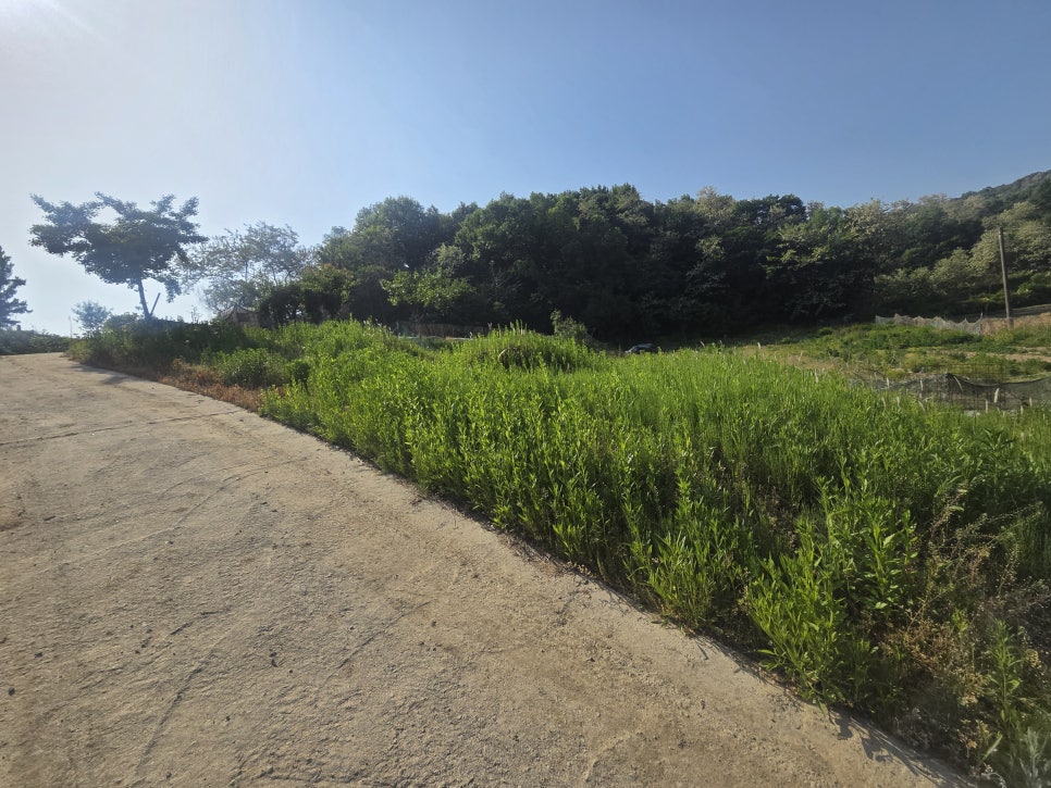 충남 천안 경작지 텃밭 무단 재배 휀스 설치 농작물 보호 담장 펜스 시공