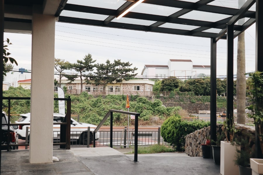금박돈 사진 4
