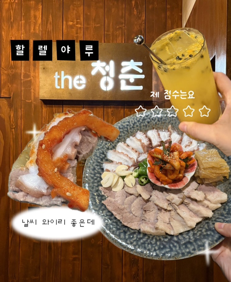  강남술집 추천 더청춘, 안주가 너무 맛있었던 강남구청역술집
