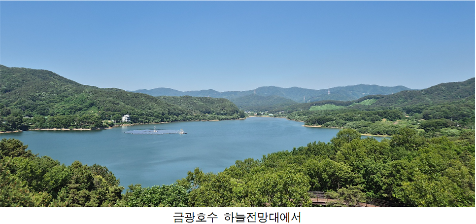 병천순대 사진 1