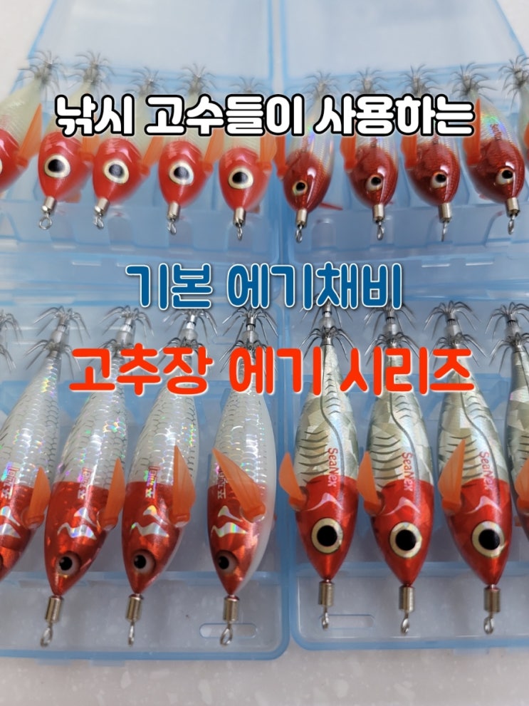  주꾸미 갑오징어 낚시 고수들이 사용하는 고추장 에기