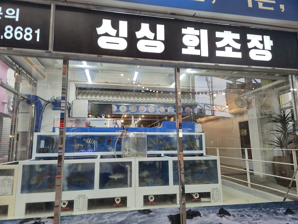 싱싱회 사진 3
