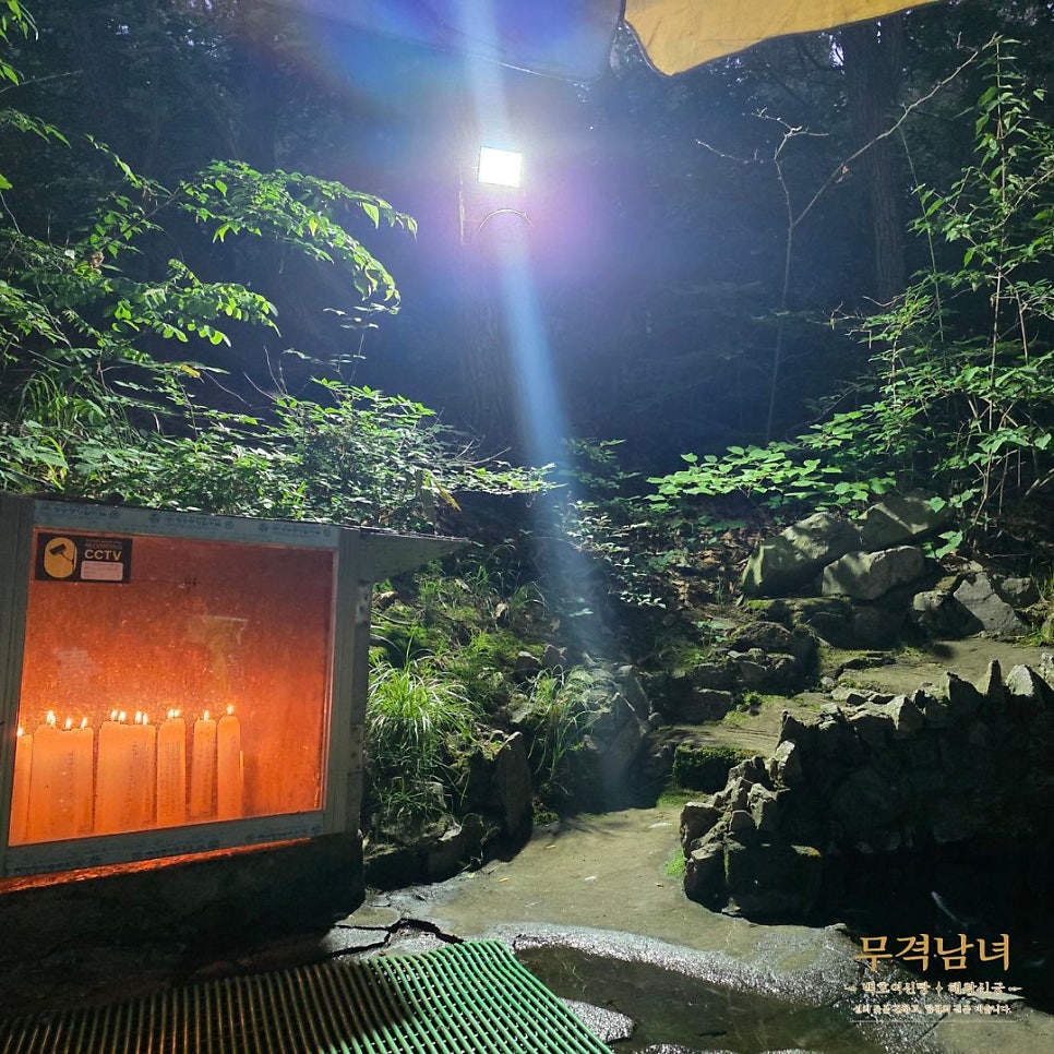 용궁 사진 3