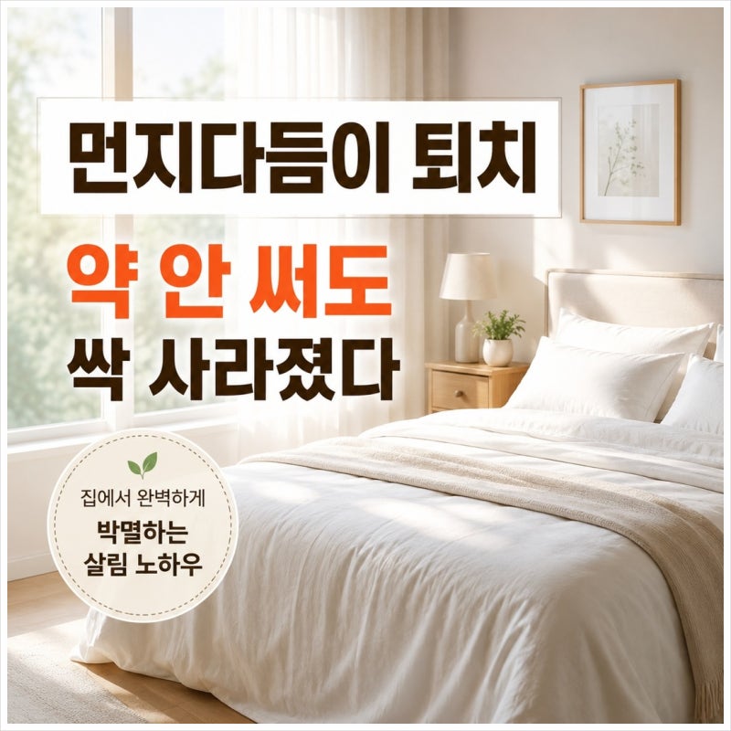 먼지다듬이 퇴치 약 안 쓰고 집에서 완벽하게 박멸하는 살림 노하우