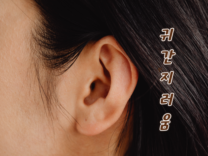 귀 간지러움 원인 병원 치료 연고 약 추천까지 솔직 후기
