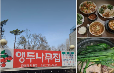앵두나무집 사진 5
