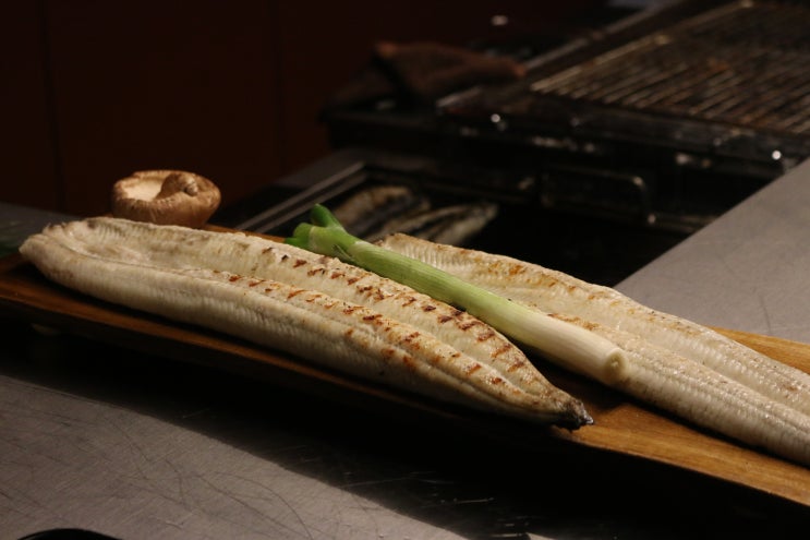  서울 합정역 근처 맛집 풍윤 장어집