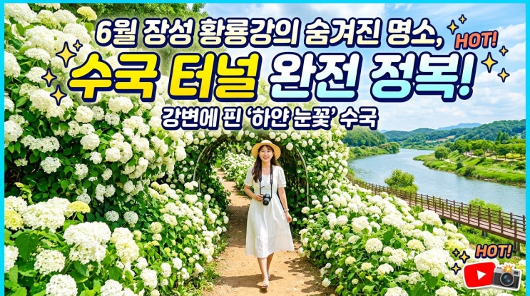  강변에 피어난 하얀 눈꽃 6월 장성 황룡강 생태공원 유럽 수국 터널 숨은 스팟 완전 정복