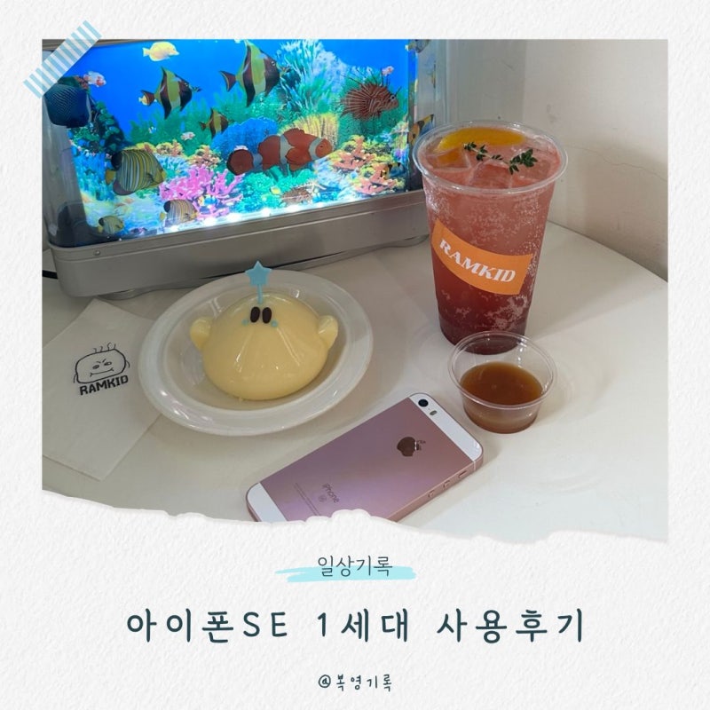올드아이폰 구매후기, 아이폰SE 1세대 로즈골드 작례
