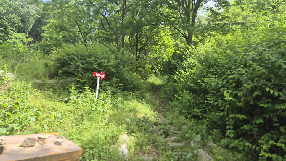 용문산 사진 3