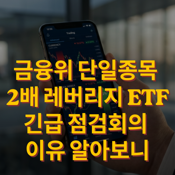 금융위 단일종목 2배 <b>레버리지 ETF</b> 긴급 <b>점검</b>회의 이유 알아보니