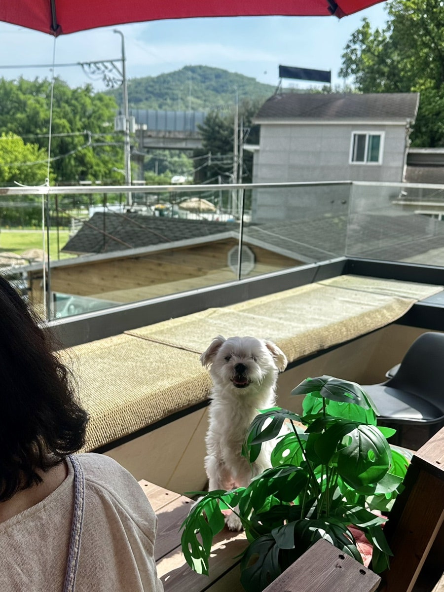 서리서리멸치국수 사진 5