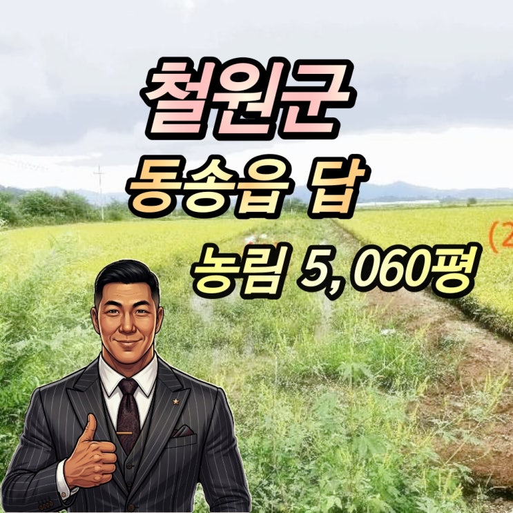  철원 동송읍 토지 경매 답 5천평대 2025타경3831