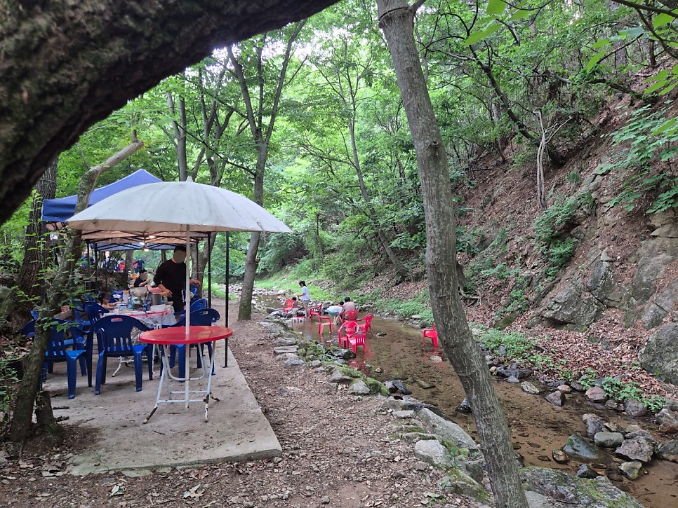 금어리 계곡식당 사진 4