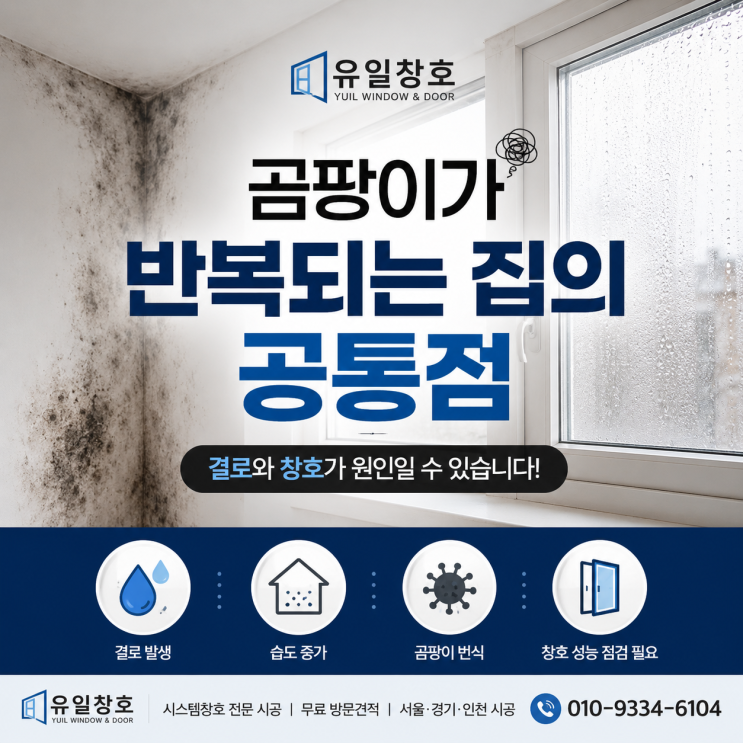  곰팡이가 반복되는 집의 공통점 | 결로와 창호가 원인일 수 있습니다