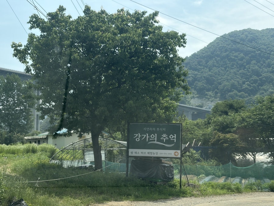 강가의추억 사진 1