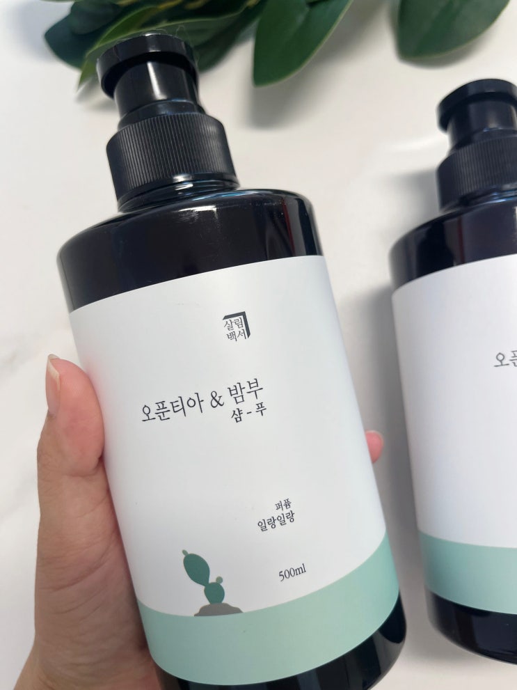  약산성 비듬 샴푸 추천! 살림백서 오푼티아밤부 사용후기