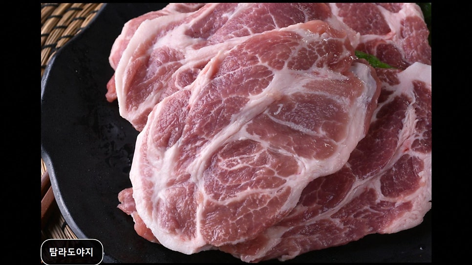 탐라도야지 사진 6
