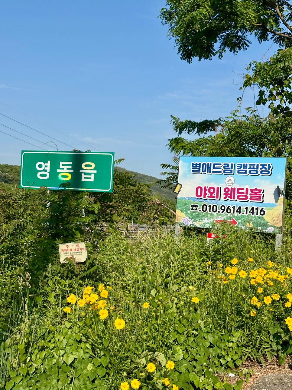 별애드림캠핑장 사진 2