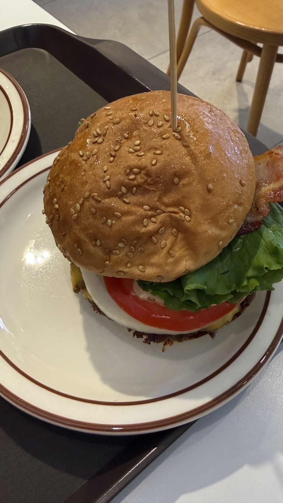 처비핑거스 사진 6