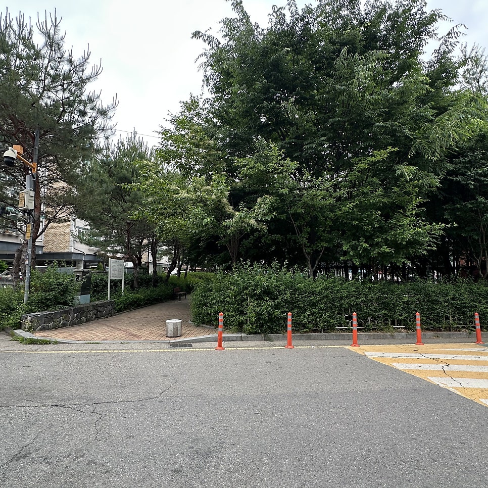 란로이 사진 4