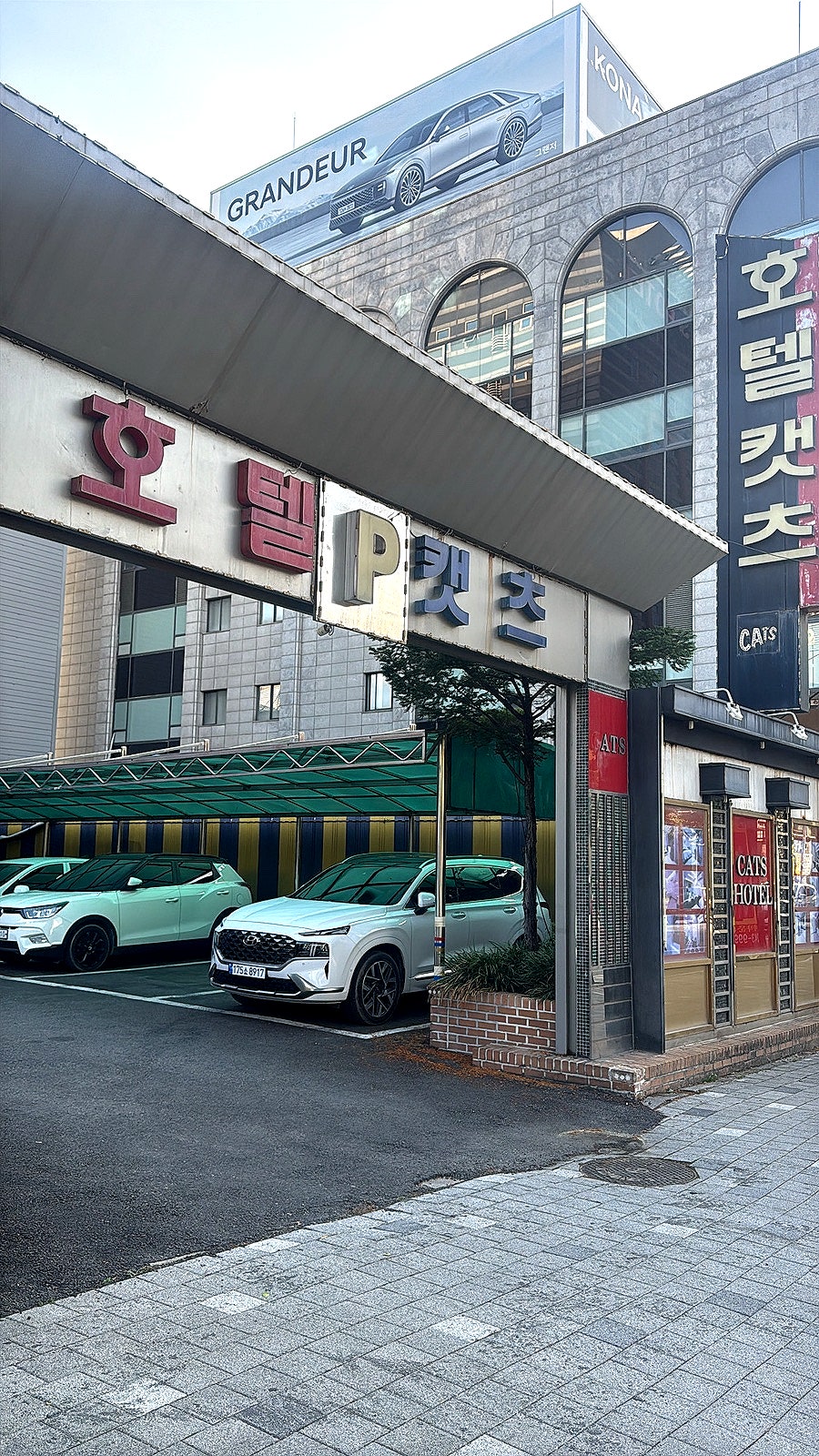 캣츠호텔 사진 6