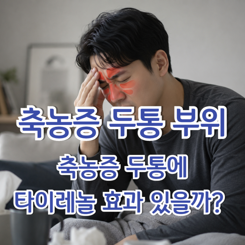 축농증 두통 부위, 고개 숙일 때 더 아프다면? 축농증 두통 타이레놀 효과 있을까?