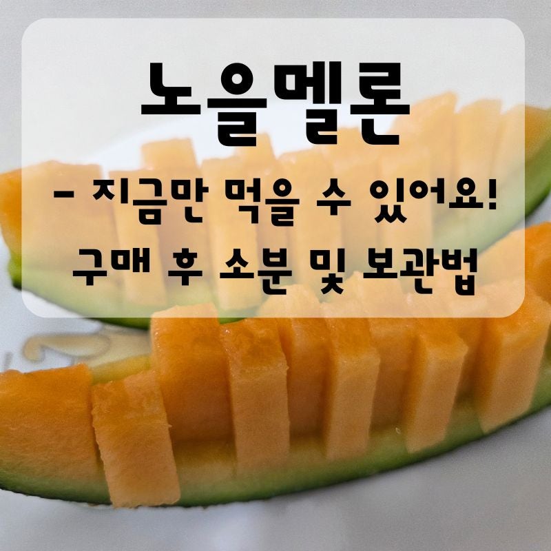 노을멜론- 지금만 먹을 수 있어요! 구매 후 소분 및 보관법