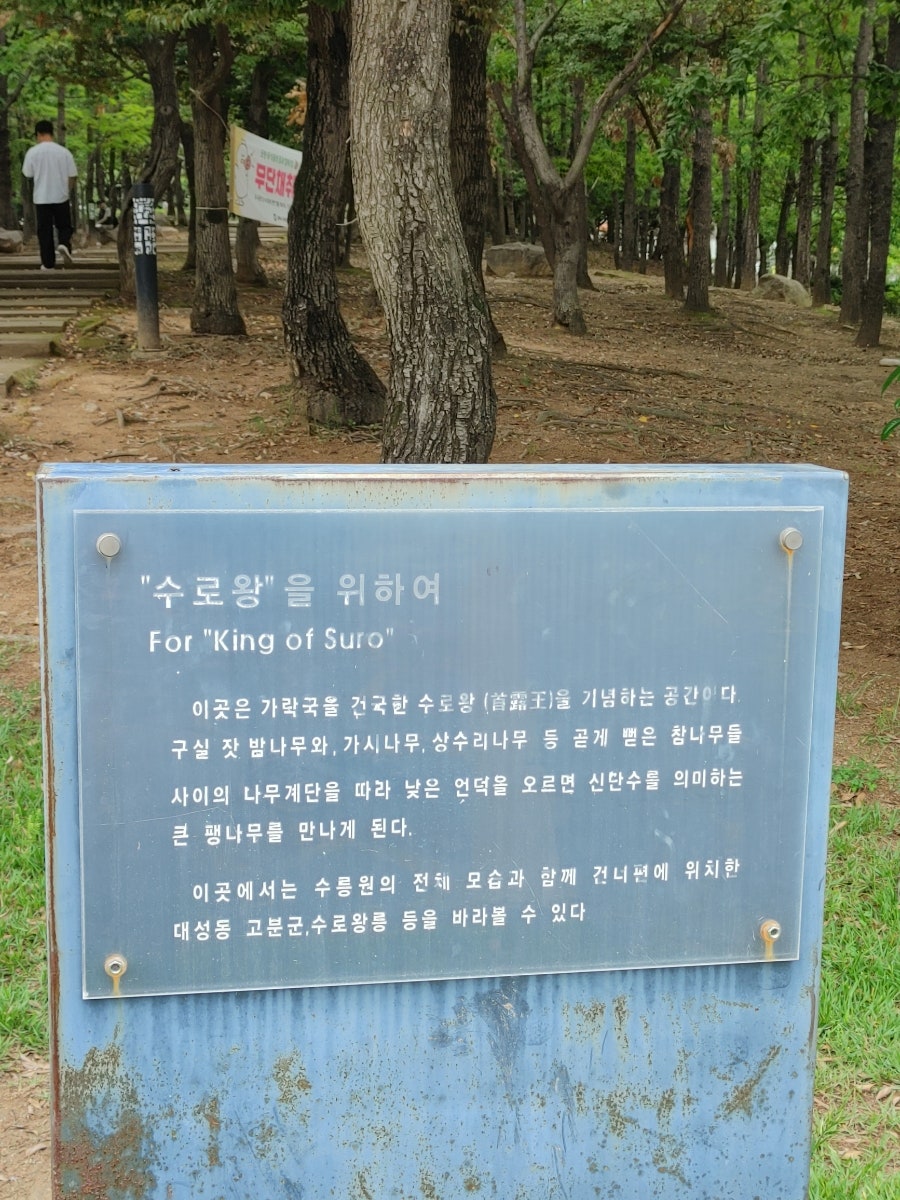 모옌 사진 5