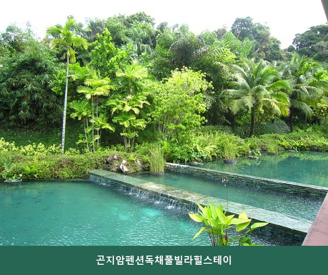 곤지암펜션독채풀빌라 힐스테이 사진 3